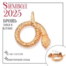New Year! Symbol of the year 2025! Brooch 