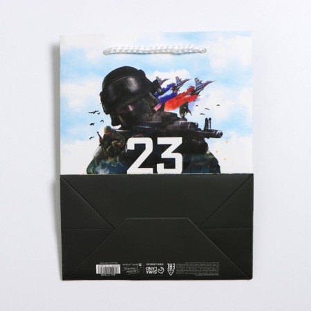 Gift laminated vertical, packaging, "Victory", MS 18 x 23 x 10 cm-3
