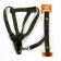 Acunition set is relief, leash 120 x 1.5 cm, OG 36-49 cm, yellow-black