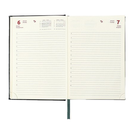 Dated diary 2024 A5 176 sheets, Devente.symbol, firm artificial leather cover, stamping foil, lies, cream block 70 g/m2, green-13