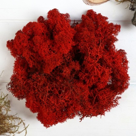 Moss stabilized "red" 45 g (+-5 gr).