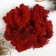 Moss stabilized "red" 45 g (+-5 gr).