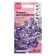 Flowers of Petunia flowers "Dot Star Dark Vailit, 10 pcs