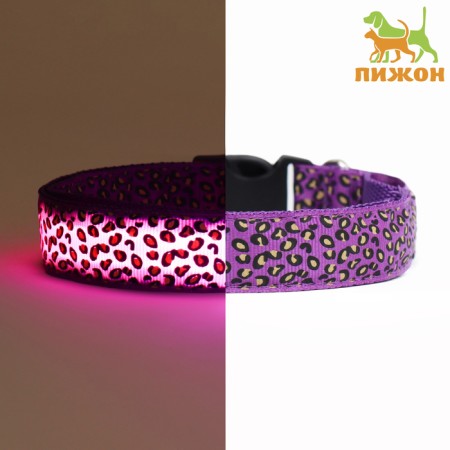Collar with backlight leopard 3 glow modes, size L, Osh 48-60 x 2.5 cm violet