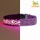 Collar with backlight leopard 3 glow modes, size L, Osh 48-60 x 2.5 cm violet