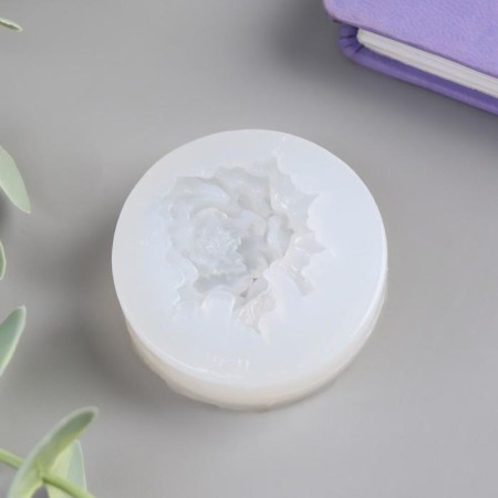 Mold Silicon "Pion" 1.3x4.5x4.5 cm-1