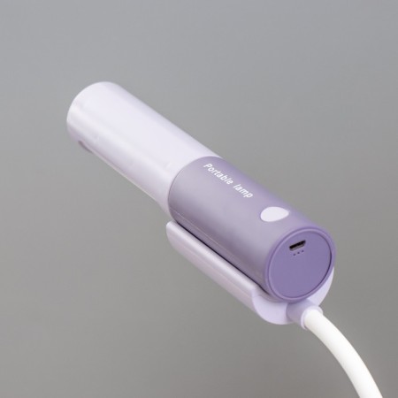 Lancer table lamp LED 3.5W USB batteries Violet 11x15x45 cm Risalux-10
