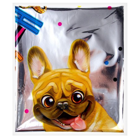 Foil ball 18 "" With DR, dog "Circle-2