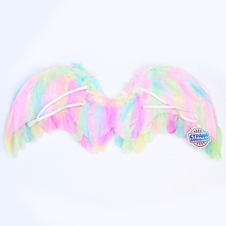 Angel wings 52 × 23 cm-1