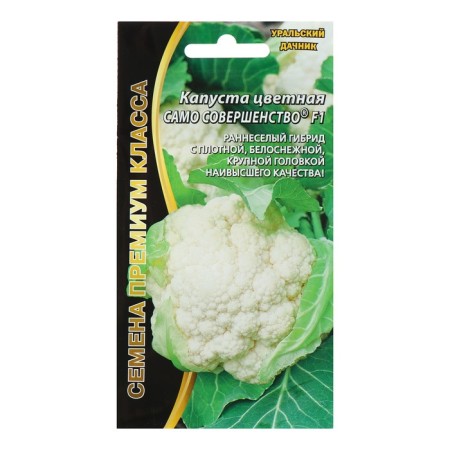 Seeds Cabbage Color "Perfection itself" F1, 0.25 g-2
