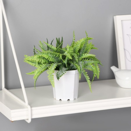 Bonsai in the pot "Fern Elegant" 7x13 cm, green