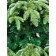Artificial spruce Green Trees "Ontario", premium, 180 cm