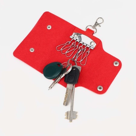 Key on the buttons, length 11 cm, 7 carabiners, red color-2