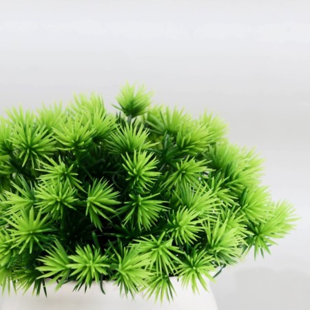 Bonsai in the pot "Fluffy thorns" 9x13 cm, mix-1