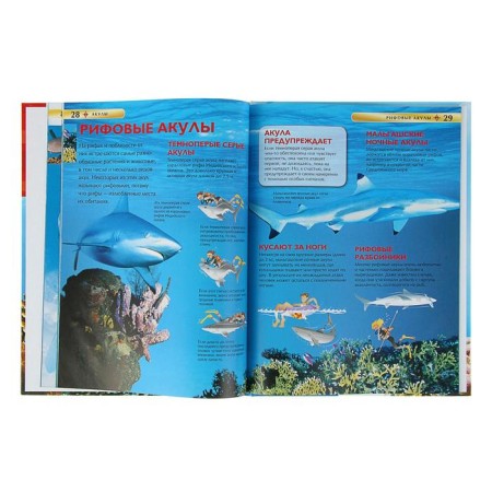 Children's Encyclopedia. Sharks-3