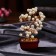 Bonsai souvenir "Pearl Cash Tree" 60 pcs MIX 16.5x10x5.5 cm