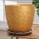 Flower pot "Mango gold bud No. 8", 22 l