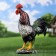 Garden figure "Rooster Voice Gudan" 44x34x17cm