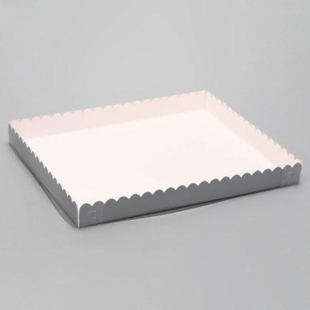 Box for cookies, silver, 23.5 x 30 x 3 cm-1