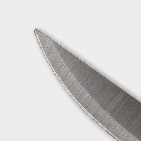 Knife Knot Dolyana "Tricolor", blade 12.5 cm-2