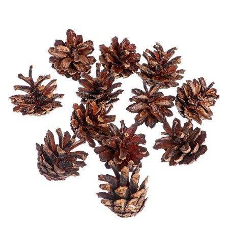 New Year's decor "Set of natural cones" 12 pcs.-1