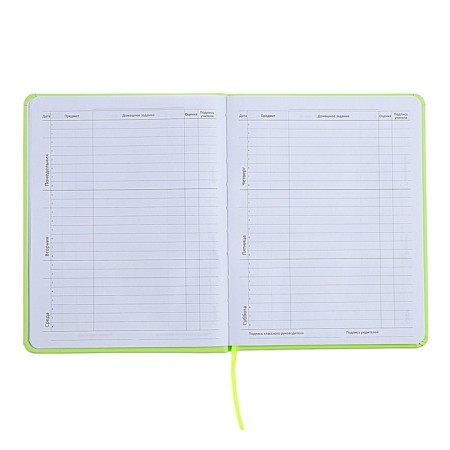 Universal diary for grade 1-11 Capybara, hard cover, artificial leather, silkography, lies, 80 g/m2-6
