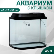 Aquarium 