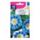 Flower seeds of the bindweed "cockade", blue, 0.5 g
