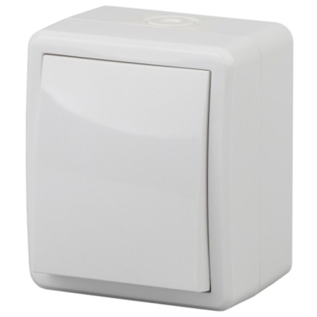 Switch IP54, 10AX 250V, OU, Era Expert, White