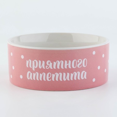 Ceramic bowl of "pleasant appetite", 300 ml, for cats and dogs-2
