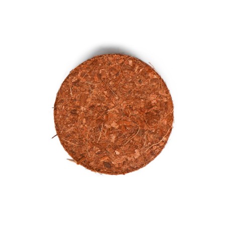 Coconut tablets, d = 4 cm, without a shell, set 10 pcs., Greengo-7