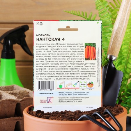 XXXL seeds "Nanta 4", 10 g-3
