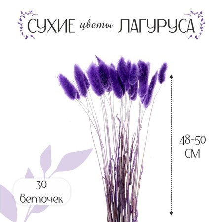 Dry -flowers "Lagurus", set of 30 pcs., Pudel color-1