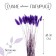 Dry -flowers "Lagurus", set of 30 pcs., Pudel color