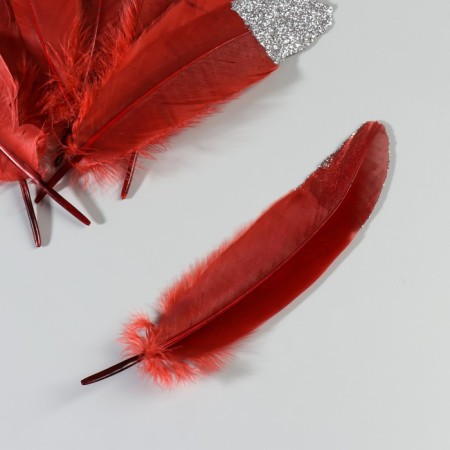 A set of goose feathers 15-20 cm, 10 pcs, red wine with silver crumb-3