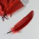 A set of goose feathers 15-20 cm, 10 pcs, red wine with silver crumb
