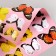 Stick 3D interior butterflies