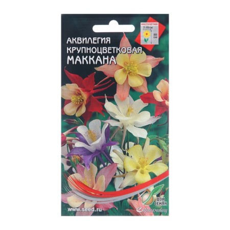 Flowers Aquilegius Large -flowered "McCana", 50 pcs