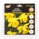 Narcissus Danch Master, river 12/14, 4 pcs, autumn 2024