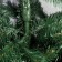 Artificial Christmas tree "North" 200 cm