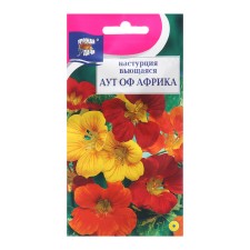 Flowers of flowers nasturtium 