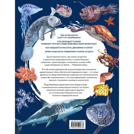 Undersea world. Big illustrated encyclopedia. Kutsenko M.E.-1