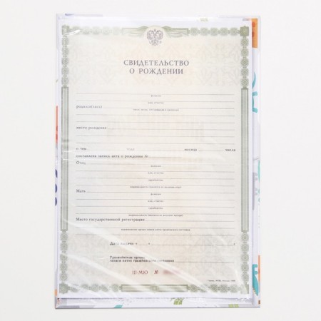 Folder for the birth certificate "Dinosaurus", A5-5