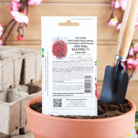Petunia flowers "Beatrice", F1, cascading, mini red, 5 pcs-1
