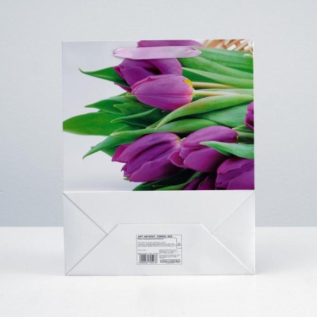 Laminated package, 26 x 32 x 12 cm-1