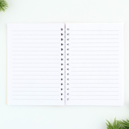 New Year's gift “Happy New Year”: a notebook on a spiral A6, 40 sheets, magnetic bookmarks 3 pcs. And the pen is plastic-2