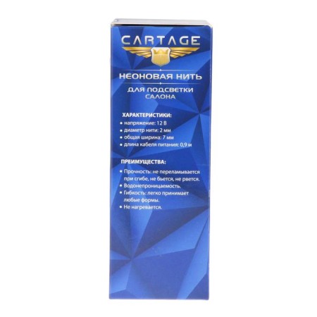 Cartage neon thread for lighting salon, feeder 12 V, 2 m, white power adapter-5