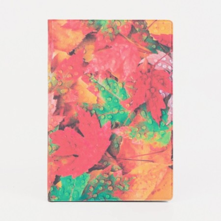 Passport cover, orange color-1