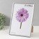 Photo frame plastic LIDA 21x30 cm silver