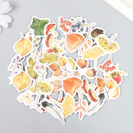 Stickers for creativity "Autumn Bouquet" set 46 pcs 4.4x4.4x1.1 cm